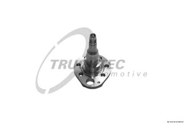 Поворотный кулак, подвеска колеса 07.32.013 TRUCKTEC