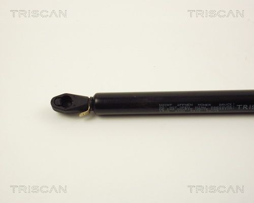 Упругий элемент, крышка багажника / помещения для груза 87102808 TRISCAN