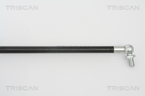 Упругий элемент, крышка багажника / помещения для груза 871068209 TRISCAN