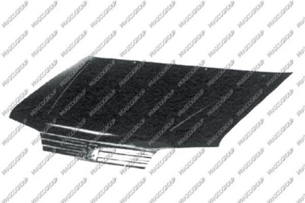 Капот двигателя PG0053100 PRASCO GROUP