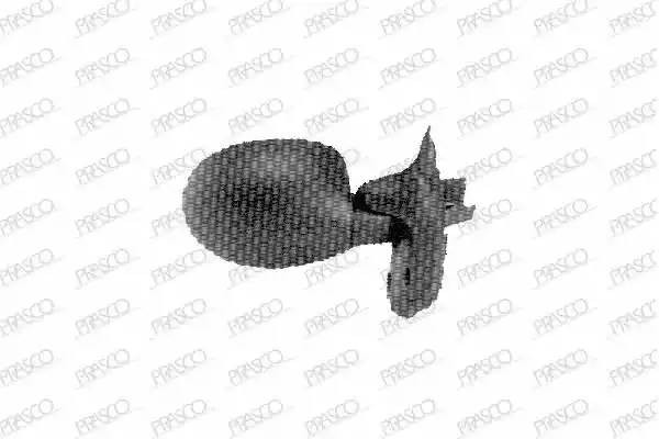Наружное зеркало RN0257103 PRASCO GROUP