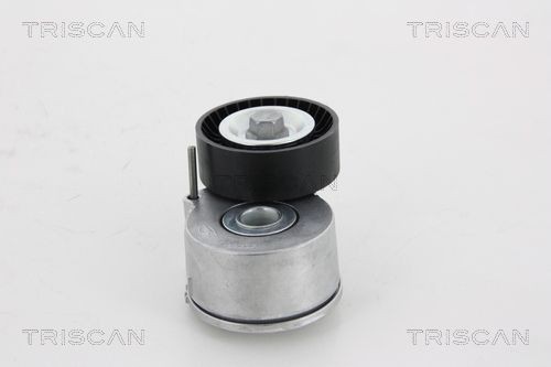 Натяжитель ремня, клиновой зубча 8641103003 TRISCAN