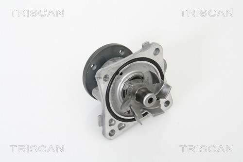 Водяной насос 860042016 TRISCAN