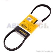 Поликлиновой ремень 4-PK-800 CONTITECH