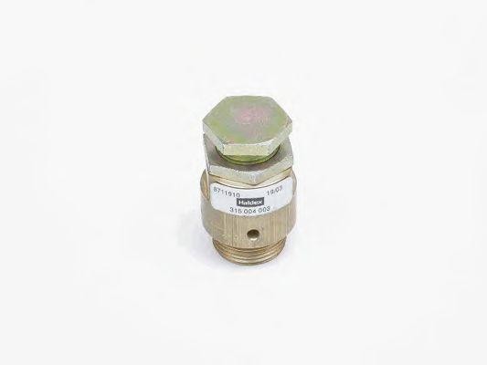 Предохранительный клапан 315004003 HALDEX