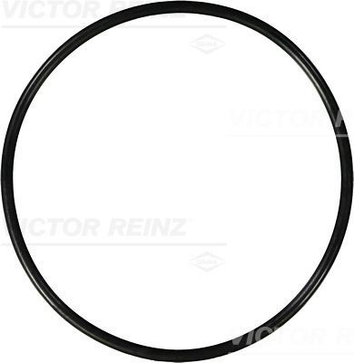 Уплотняющее кольцо 40-76696-00 VICTOR REINZ