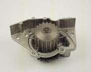 Водяной насос 8600 28917 TRISCAN