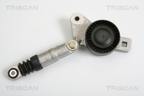 Натяжитель ремня, клиновой зубча 8641803002 TRISCAN
