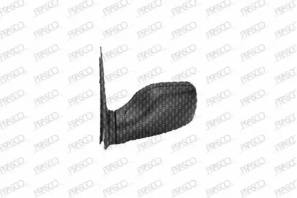 Наружное зеркало PG0057114 PRASCO GROUP