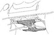 Днище кузова 5801369 VAN WEZEL