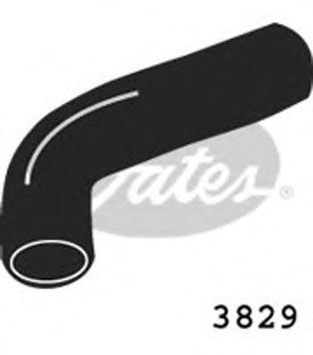 Шланг радиатора 3829 GATES
