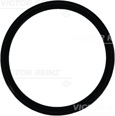 Уплотняющее кольцо 40-76546-00 VICTOR REINZ