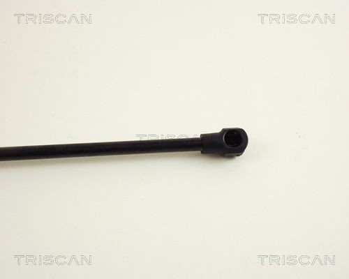Упругий элемент, крышка багажника / помещения для груза 871040209 TRISCAN