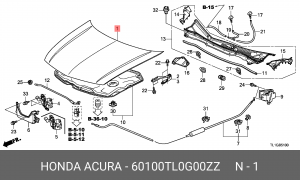 Капот 60100TL0G00ZZ HONDA