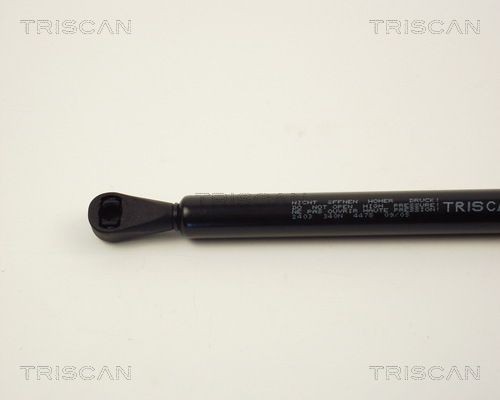 Упругий элемент, крышка багажника / помещения для груза 87102403 TRISCAN