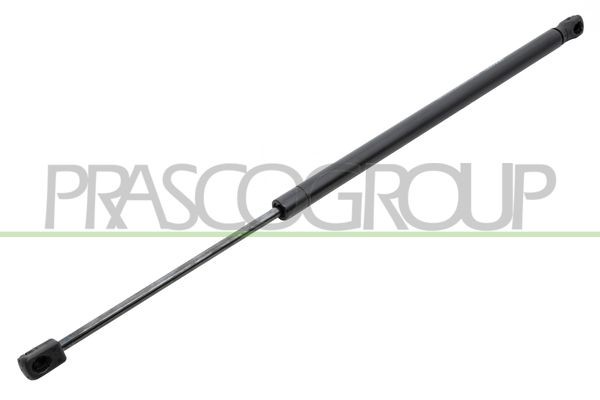 Капот двигателя ST0453100 PRASCO GROUP
