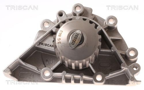 Водяной насос 8600 28012 TRISCAN
