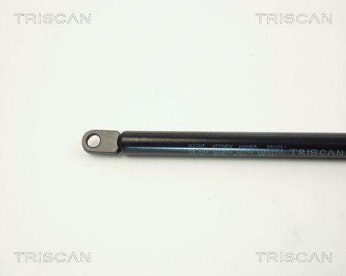 Упругий элемент, капот 8710 11101 TRISCAN