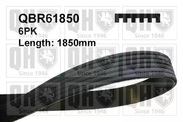 Поликлиновой ремень QBR61850 QUINTON HAZELL