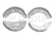 Колодки тормозные барабанные BS1310 DP GROUP