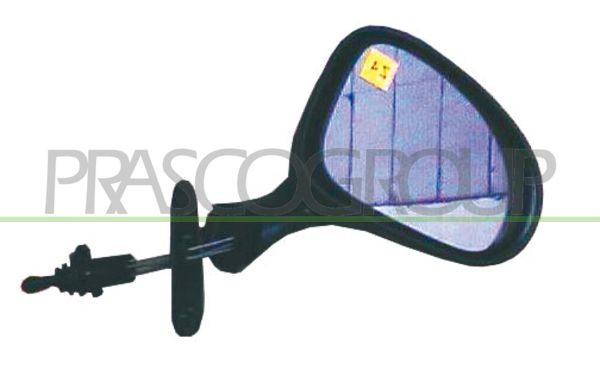 Наружное зеркало DW3207123 PRASCO GROUP
