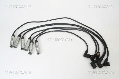 Ккомплект проводов зажигания 886029016 TRISCAN