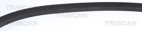Клиновой ремень 8640 171045 TRISCAN