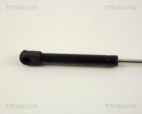 Упругий элемент, крышка багажника / помещения для груза 871016211 TRISCAN