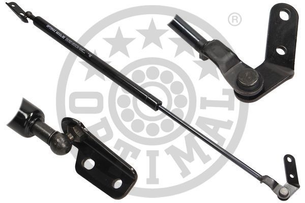Упругий элемент, крышка багажника / помещения для груза AG39995 OPTIMAL