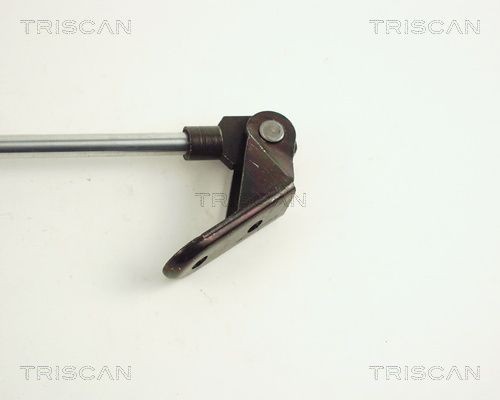 Упругий элемент, крышка багажника / помещения для груза 871068202 TRISCAN
