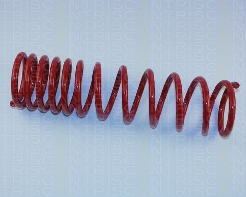 Комплект ходовой части, пружины 875529011 TRISCAN