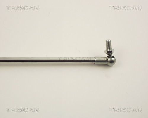 Упругий элемент, крышка багажника / помещения для груза 8710 13246 TRISCAN