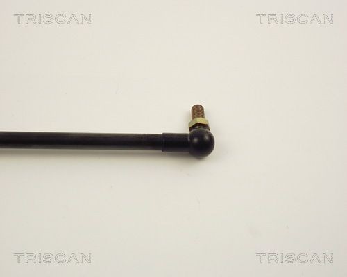Упругий элемент, крышка багажника / помещения для груза 871014207 TRISCAN