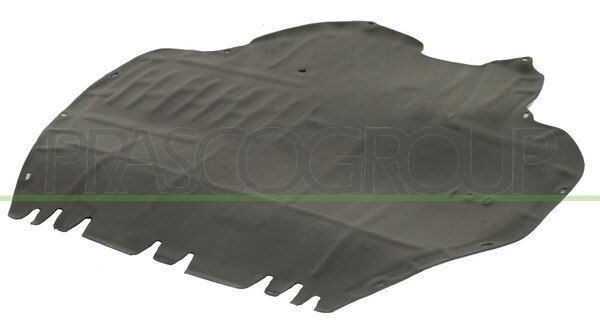 Защита картера двигателя AD0161900 PRASCO GROUP