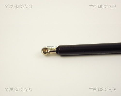 Упругий элемент, крышка багажника / помещения для груза 87102914 TRISCAN