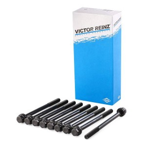 Комплект болтов головки цилидра 14-32241-01 VICTOR REINZ