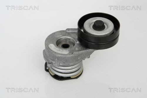 Натяжитель ремня, клиновой зубча 8641243009 TRISCAN