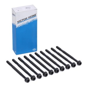 Комплект болтов головки цилидра 14-32079-01 VICTOR REINZ