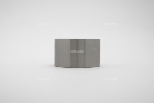 Ролик ремня ГРМ GT10101 GMB