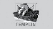 Подвеска, двигатель 083000990580 TEMPLIN