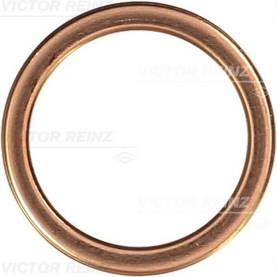 Уплотнительное кольцо, резьбовая пр; Уплотняющее кольцо 41-72066-30 VICTOR REINZ