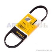 Поликлиновой ремень 4-PK-648 CONTITECH
