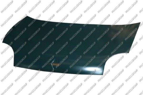 Капот двигателя RN9163100 PRASCO GROUP
