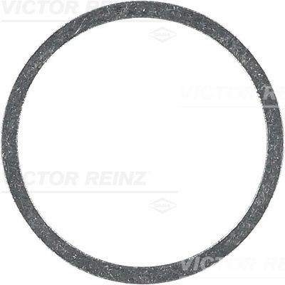 Уплотняющее кольцо 41-71093-00 VICTOR REINZ