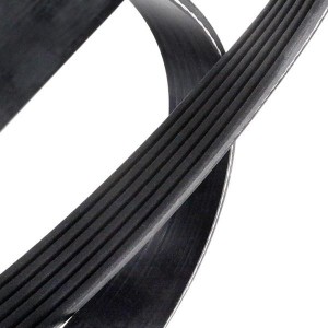 Поликлиновой ремень 6PK1558 DAYCO
