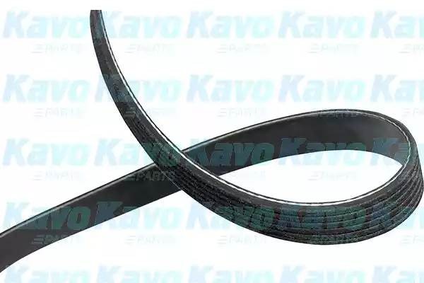 Поликлиновой ремень DMV1006 KAVO PARTS