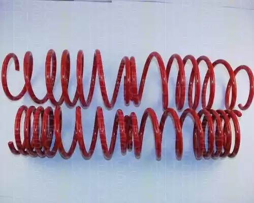 Комплект ходовой части, пружины 875515020 TRISCAN