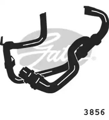Шланг радиатора 3856 GATES