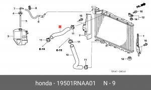 Шланг радиатора 19501RNAA01 HONDA