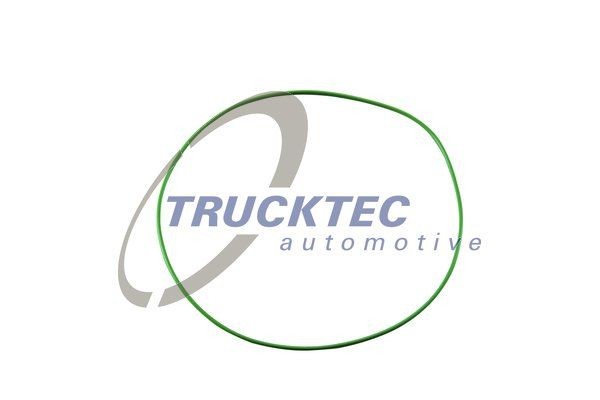 Кольцо уплотнительное 01.67.168 TRUCKTEC